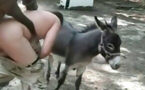 gonbet rtp - donkey, videos with beastiality